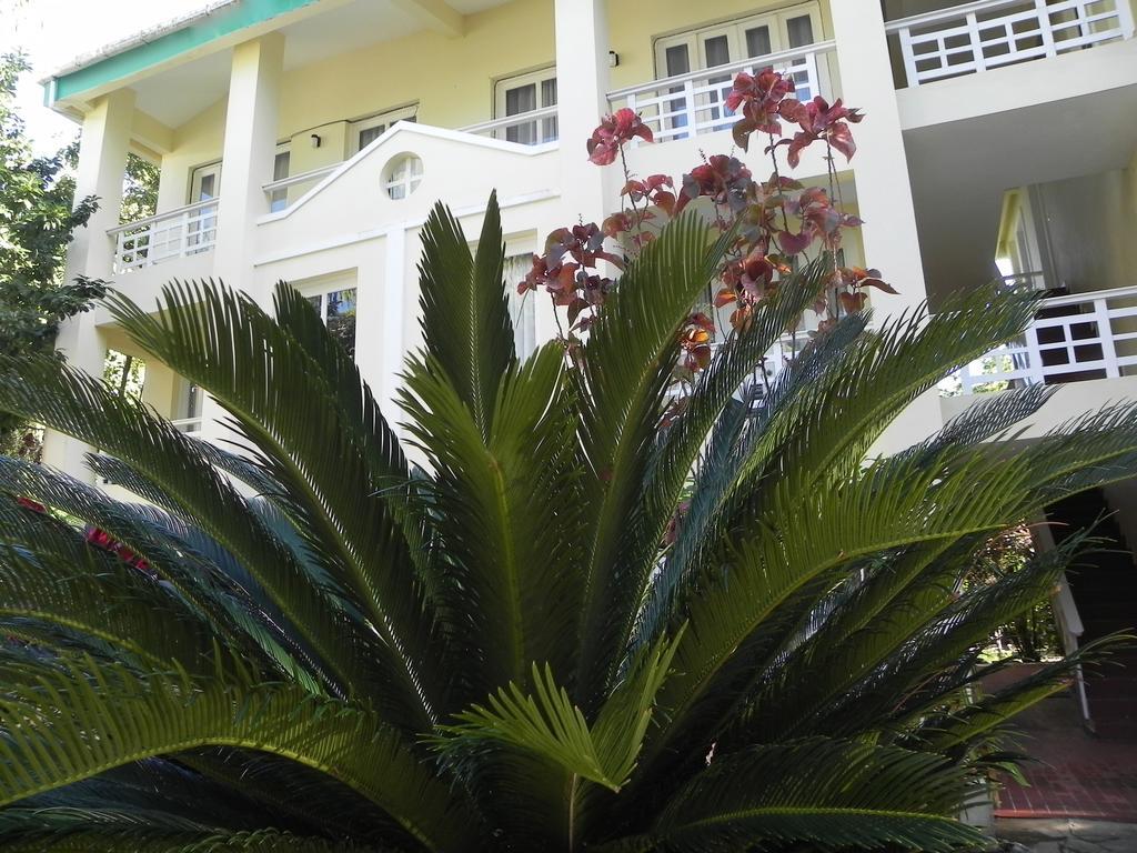 Albatros Cabarete Aparthotel Room photo